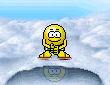 80_hidegviz.gif