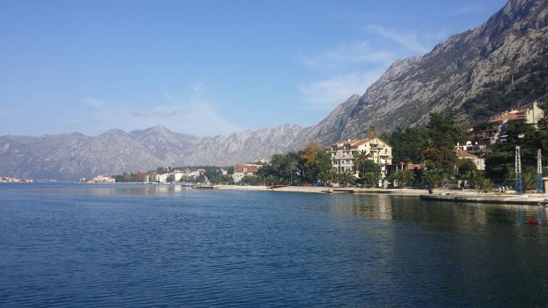 Kotor