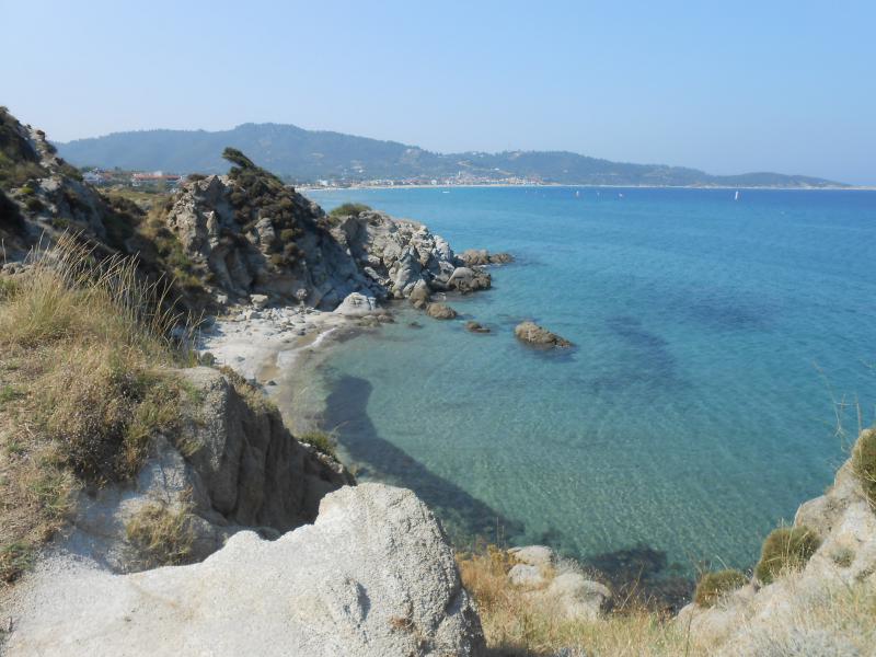 Sarti