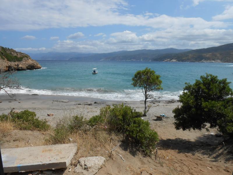 Limnionas Bech