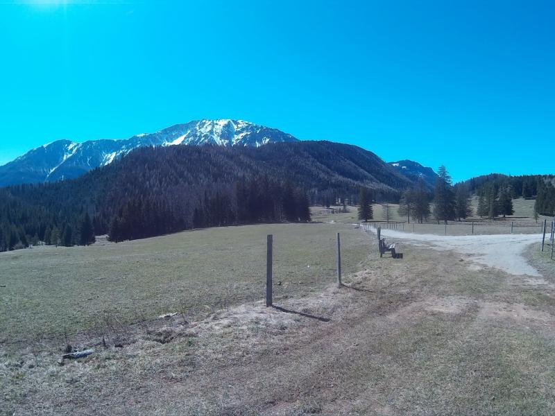 Mamauwiese  Schneeberg