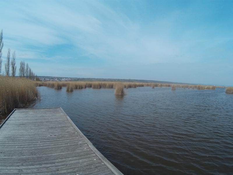 Fertő tó Fertőmeggyes