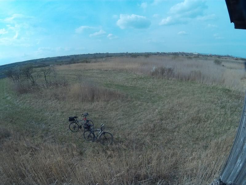 Ruszt