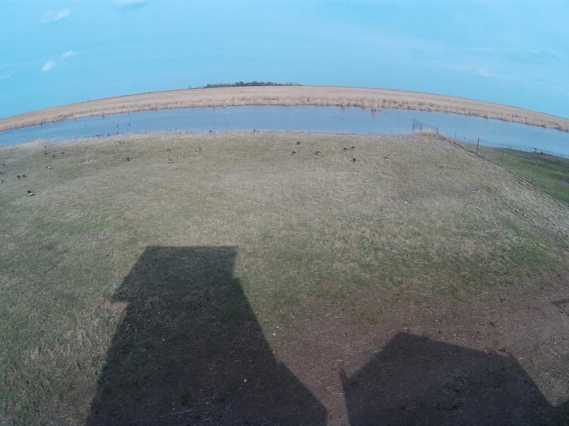 Ruszt Madárlesen