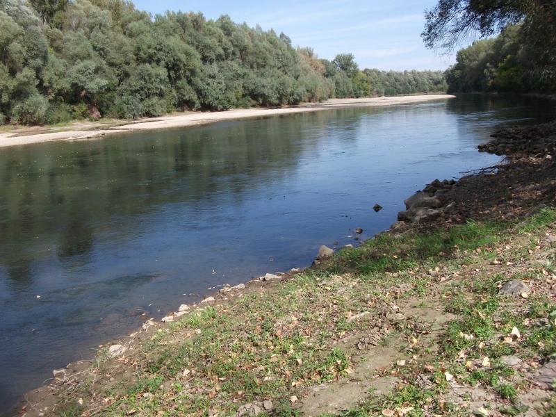 A Tisza Tiszabecs alatt|Rendkívül alacsony, de azért még folyik...