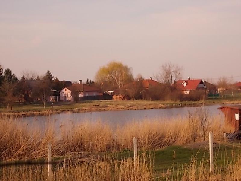 A horgásztó