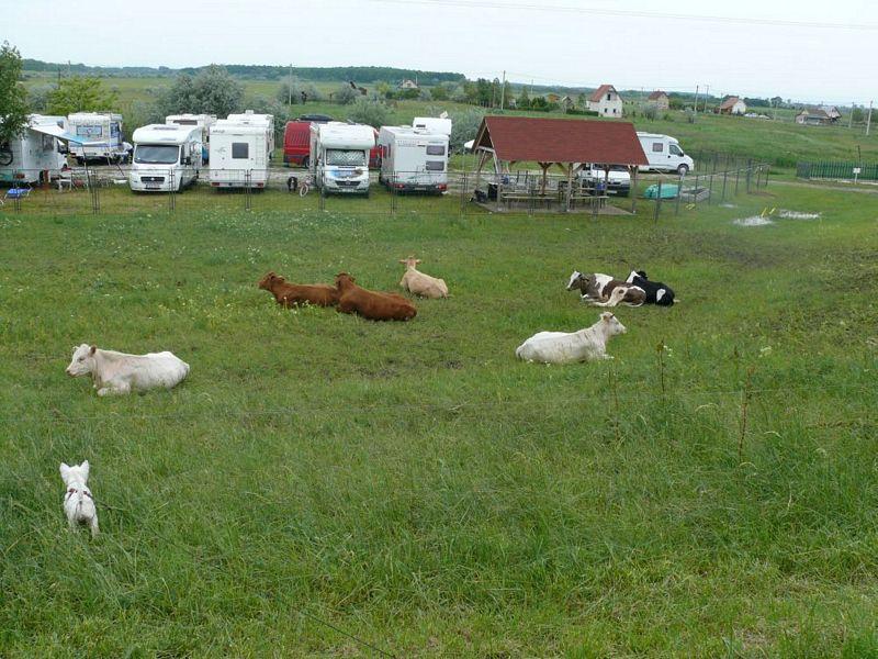 A védett parkoló