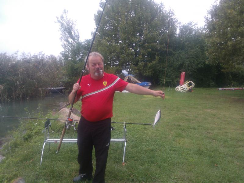 A NAGY HAL::::::..........