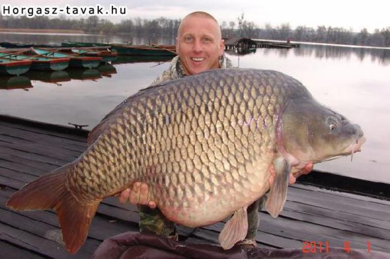 Derítő tavi fogás