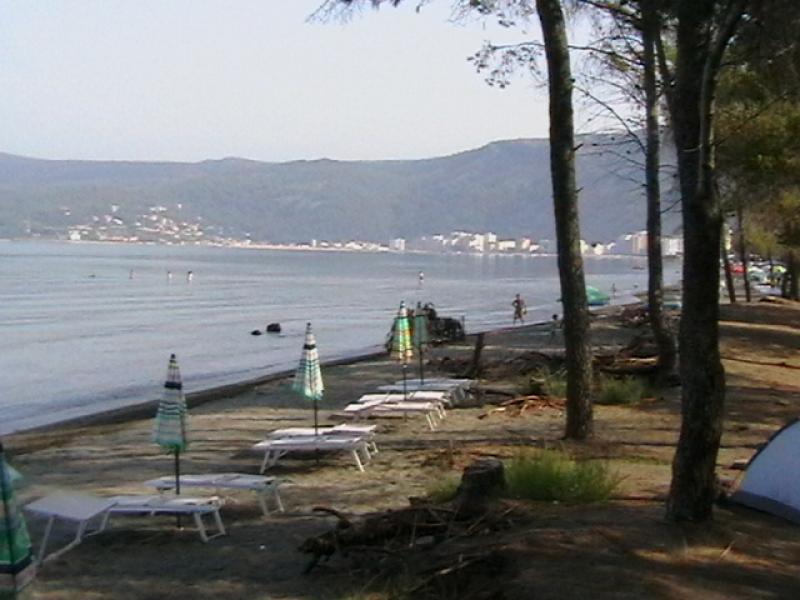 Sengjin