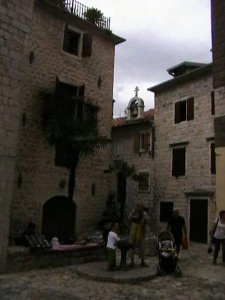 Kotor