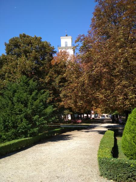 Belvárosi park