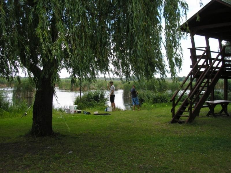 Peca a kempingben.