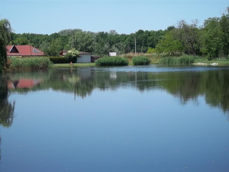 Horgásztó