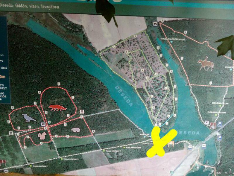 Deseda-tó híd feletti része, csodás arborétum van a félszigeten