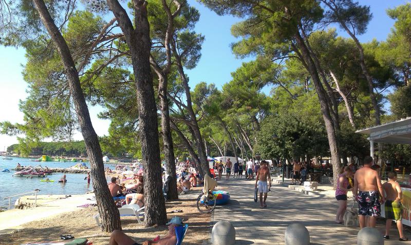 Strand-1
