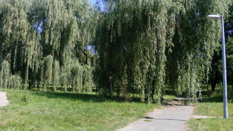 terület