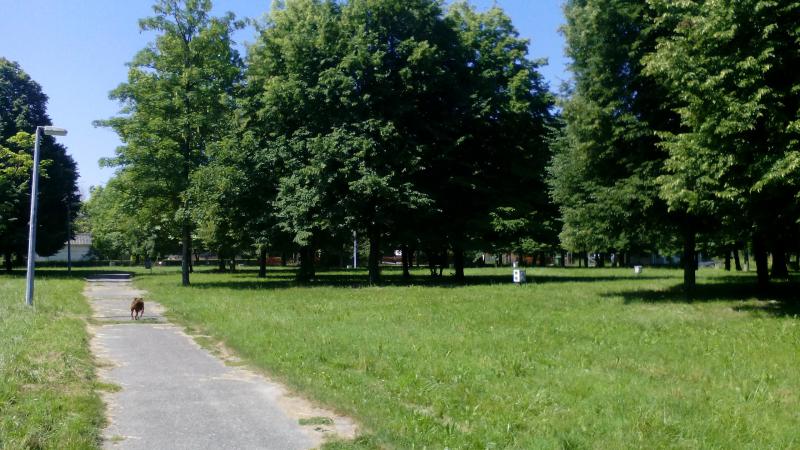 terület 2