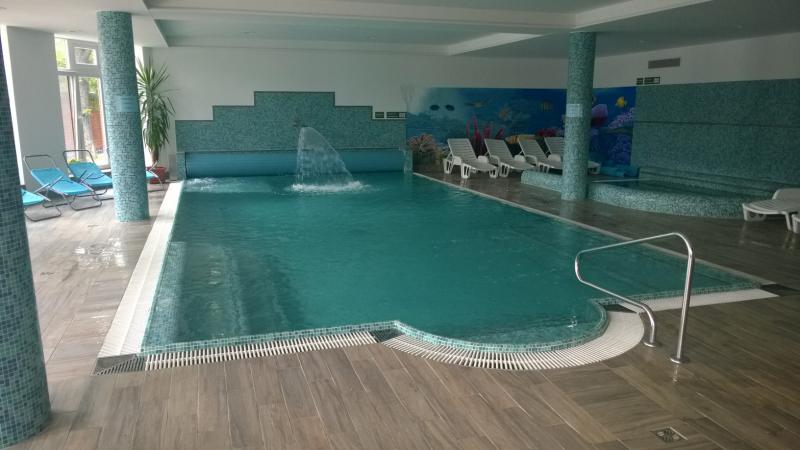 Wellness
